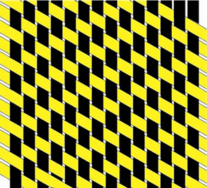 ̼�w�S�V�ǲ�